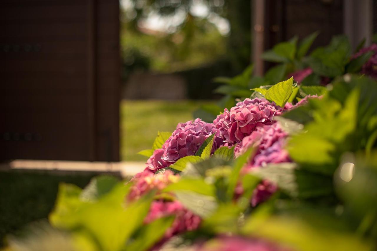 Tmbin'S Barn - Nature, Horses, Family 세자나 외부 사진