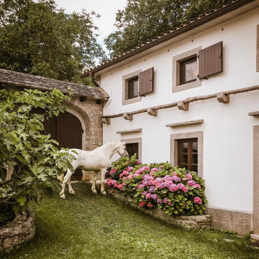 Tmbin'S Barn - Nature, Horses, Family 세자나 외부 사진