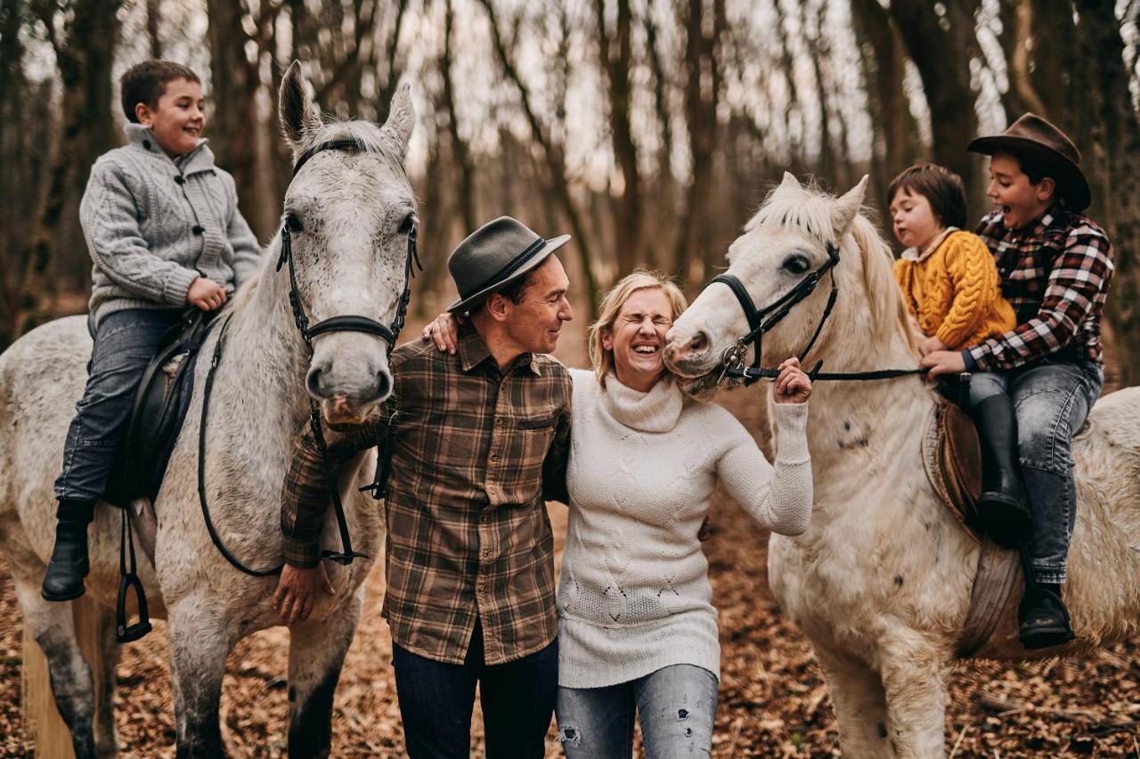 Tmbin'S Barn - Nature, Horses, Family 세자나 외부 사진