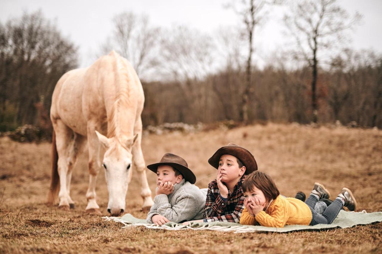 Tmbin'S Barn - Nature, Horses, Family 세자나 외부 사진