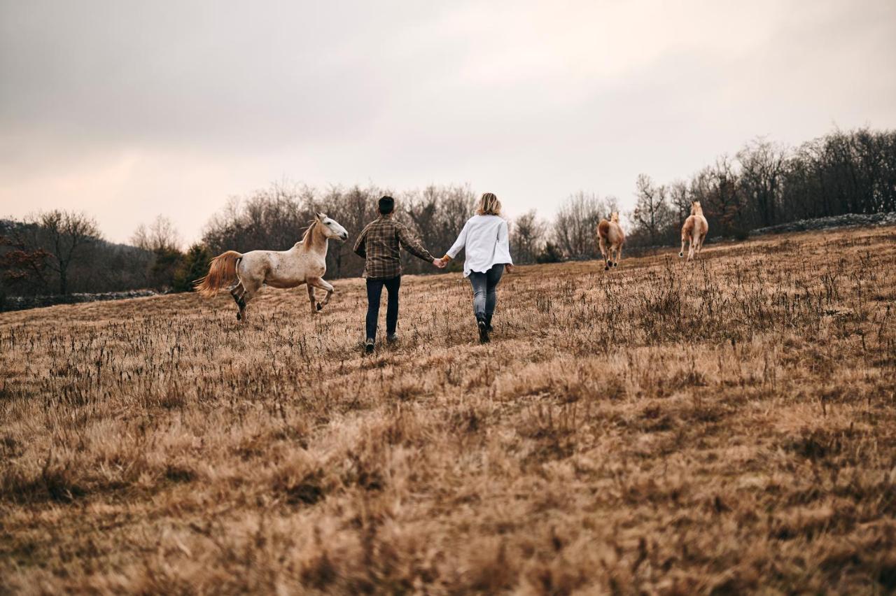 Tmbin'S Barn - Nature, Horses, Family 세자나 외부 사진