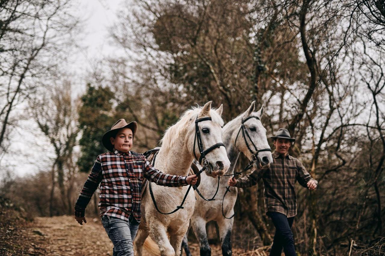 Tmbin'S Barn - Nature, Horses, Family 세자나 외부 사진