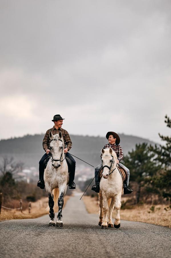 Tmbin'S Barn - Nature, Horses, Family 세자나 외부 사진